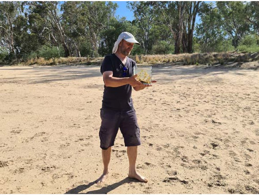Greg Martin holding a glass field tank with rainbowfish on a Murray River sandbar