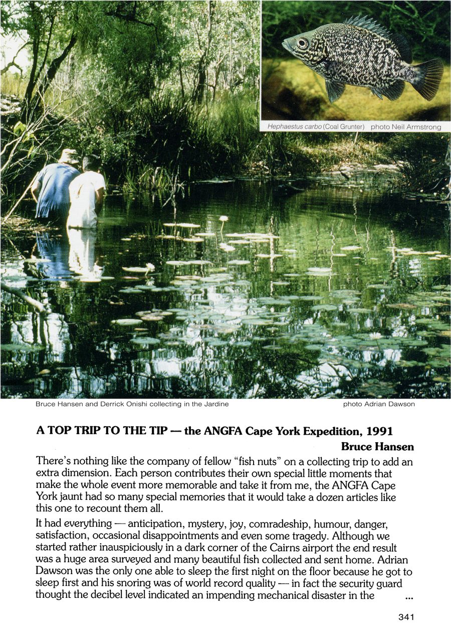 Bruce Hansen and Derrick Onishi collecting in the Jardine River, Cape York, 1991