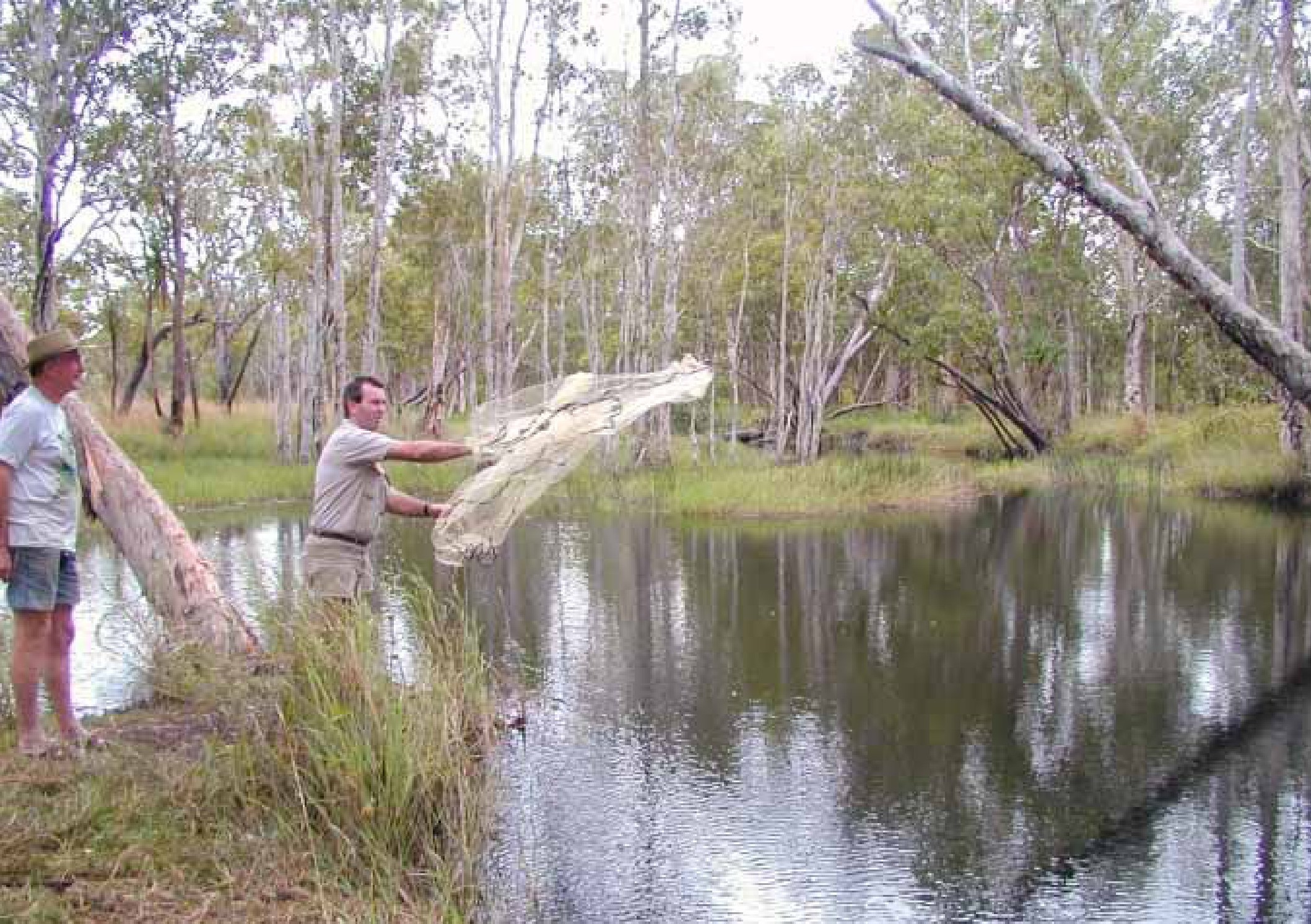 Dave Wilson casting a net in Anniversary Creek, NT