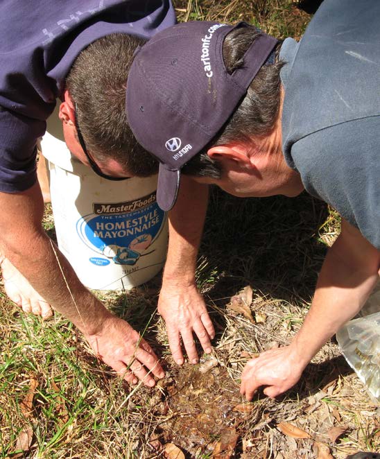 Glenn Briggs and Dean searching for Mogurnda, photographed by Jenny Briggs