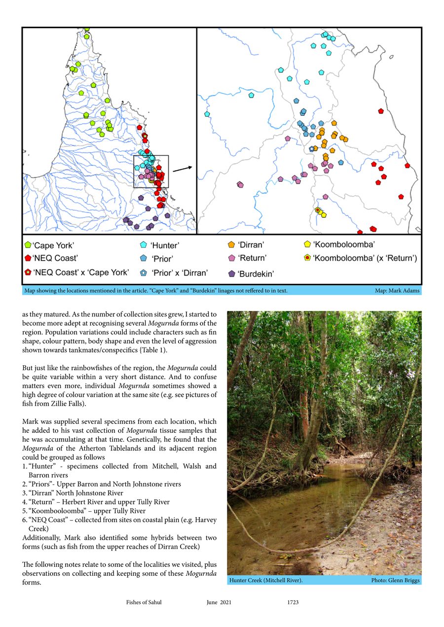 Hunter Creek, Mitchell River, Atherton Tablelands