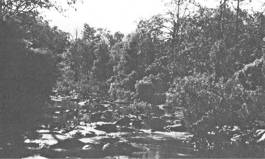 Coen River, Cape York, photographed by Neil Armstrong