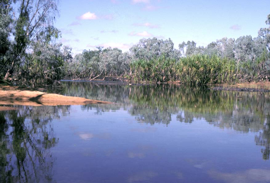 Sandz Crossing on the Drysdale River, Kimberley