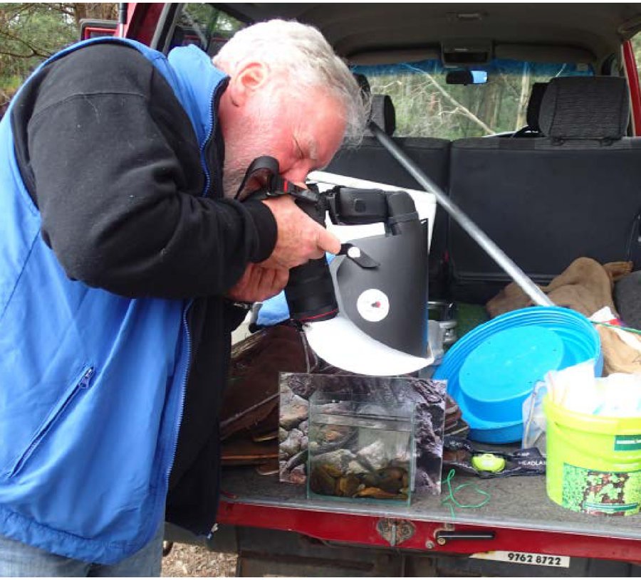 John Lenagan's 4WD tailgate photography rig, with a Murray Spiny Crayfish in a glass field tank