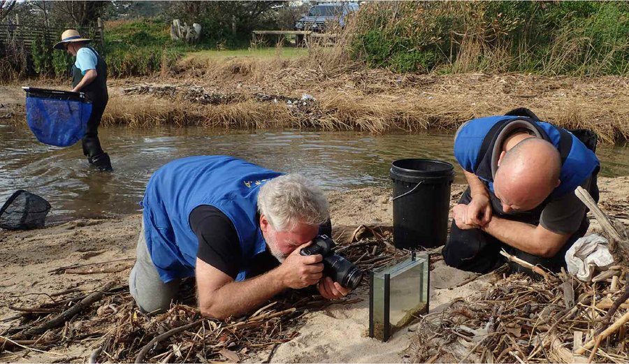 John Lenagan photographing Long-finned Gobies in a field tank, Greg Martin crouched beside him