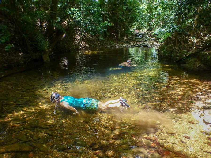 Keith Martin and Sue Barclay snorkelling together at Worth Creek