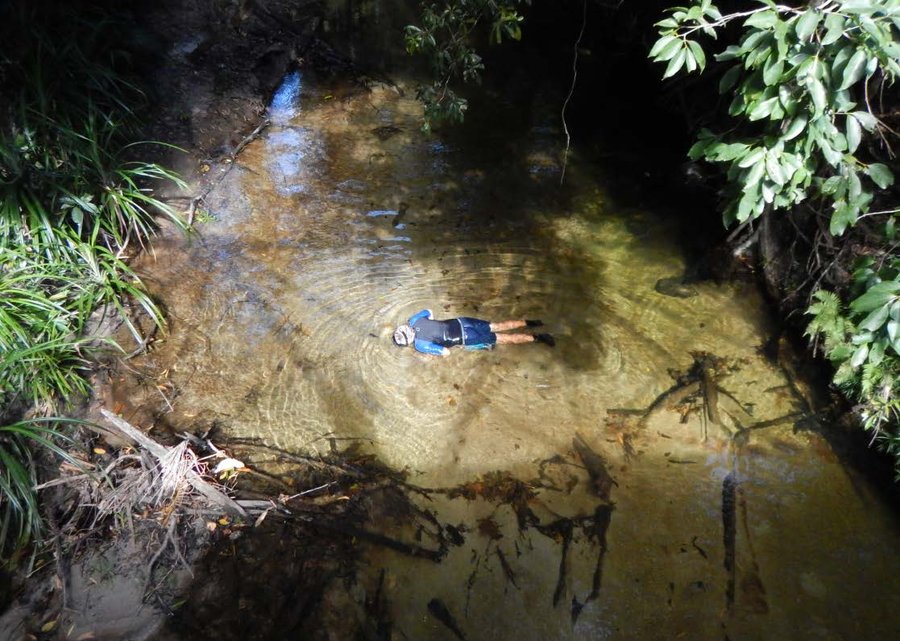 Keith Martin snorkelling, overhead shot