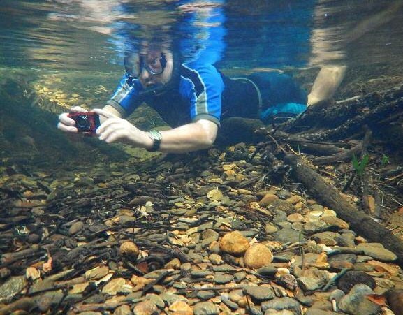 Keith Martin mid-photograph, underwater camera in hand