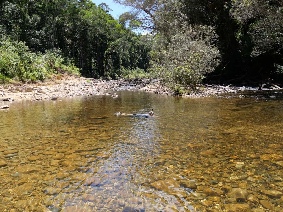 Sue Barclay photographing rainbowfish at Hilda Creek