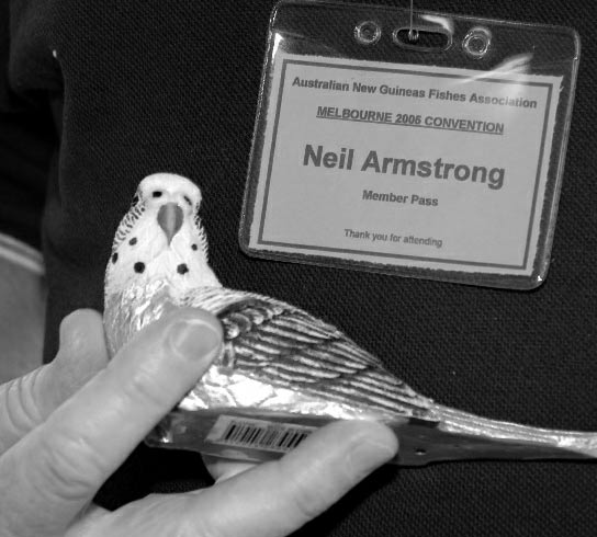 Neil Armstrong's convention name badge with a toy budgerigar