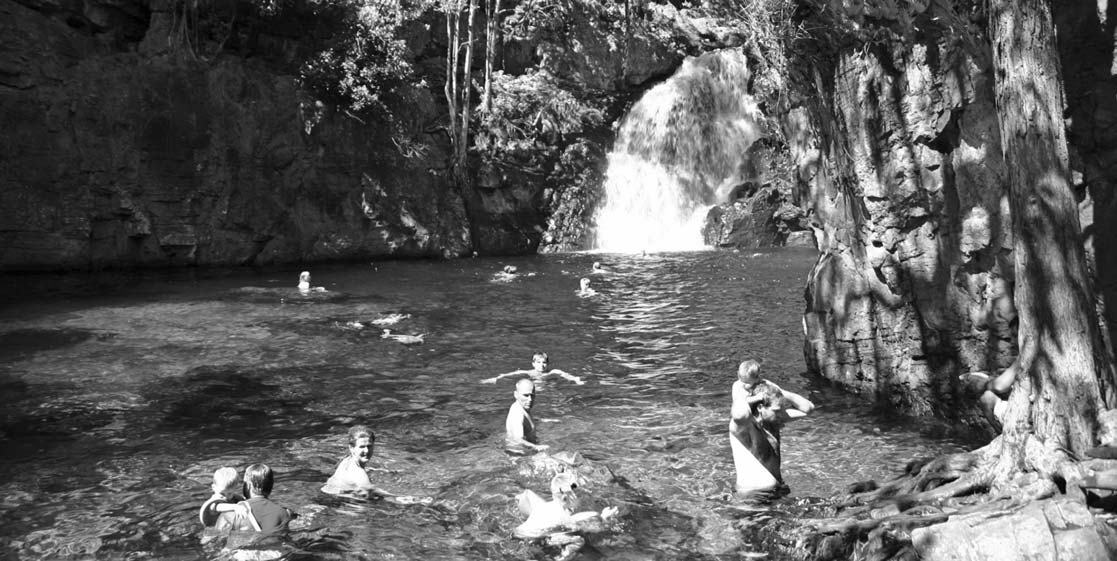 ANGFA Vic members and families swimming at Berry Springs, Northern Territory