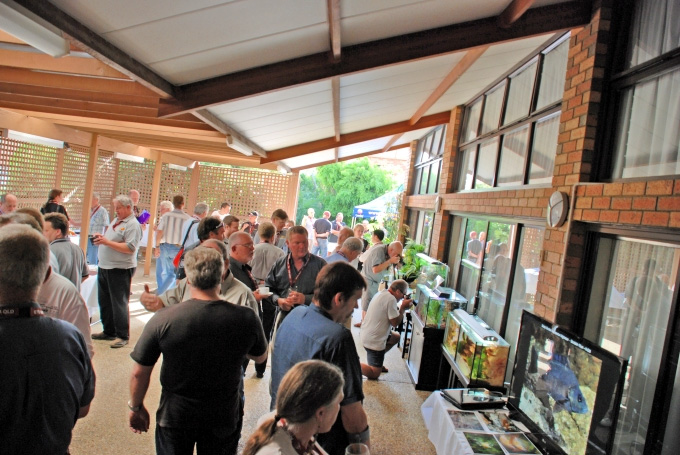 Delegates viewing the fish tank displays