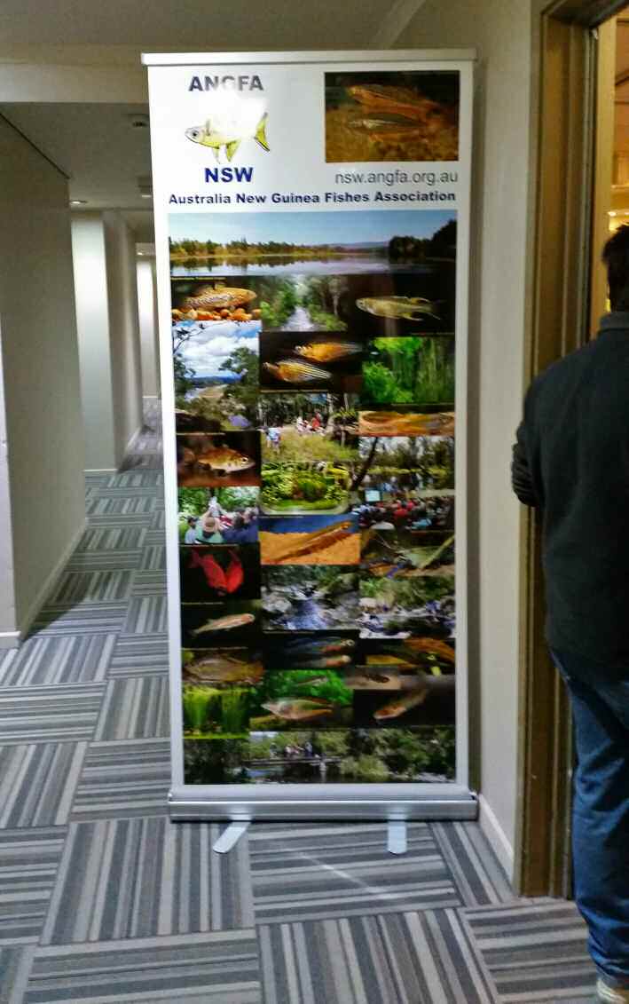 Tall ANGFA NSW banner displayed in the hallway at the convention