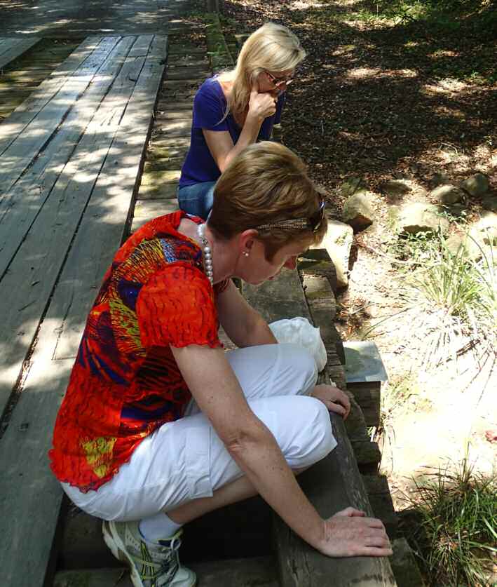 Jenny Briggs shows Connie how to identify rainbowfish by the water