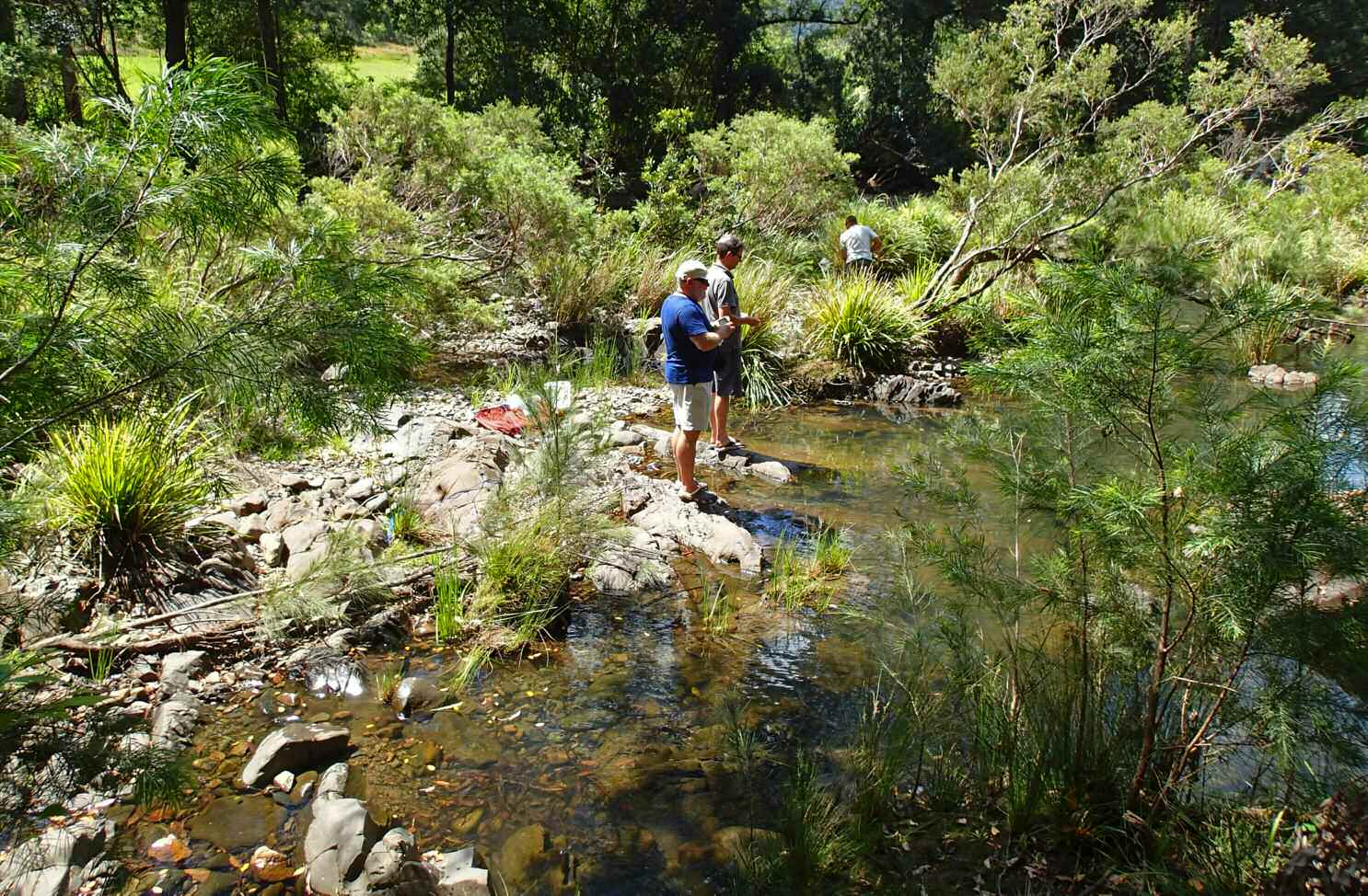 John Lenagan and Glenn Briggs looking for fish in the Pappinbarra River