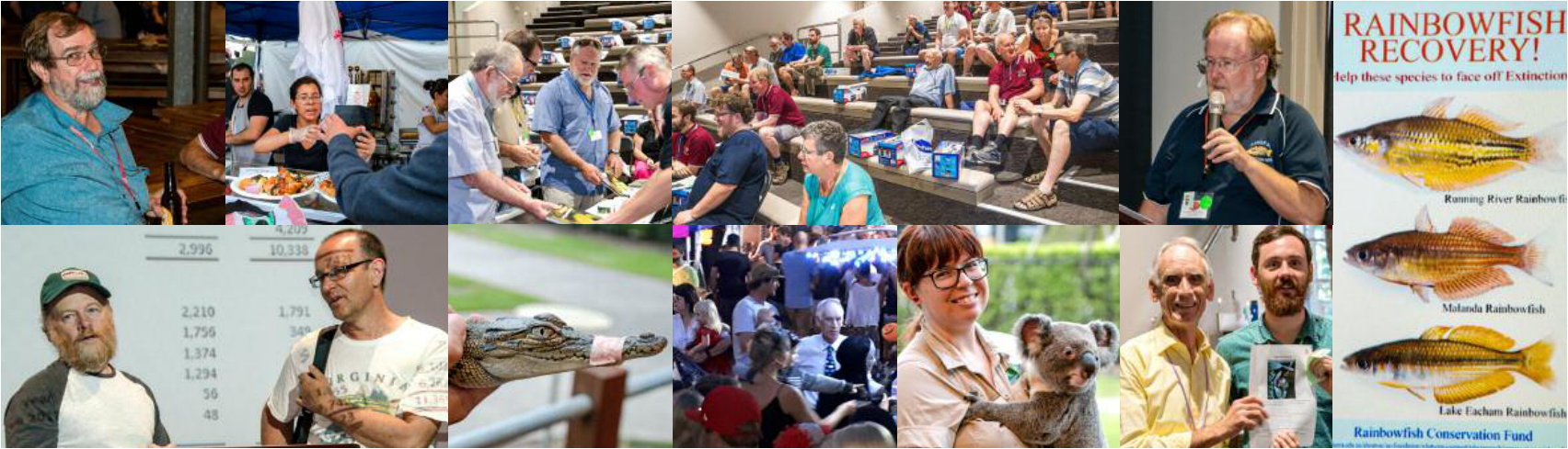 Photo collage of convention speakers, delegates, the auction, and a Rainbowfish Recovery conservation poster