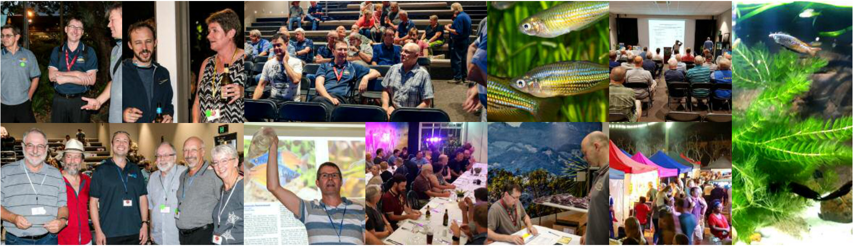Photo collage of convention delegates, the auditorium, guest speakers, and a rainbowfish habitat
