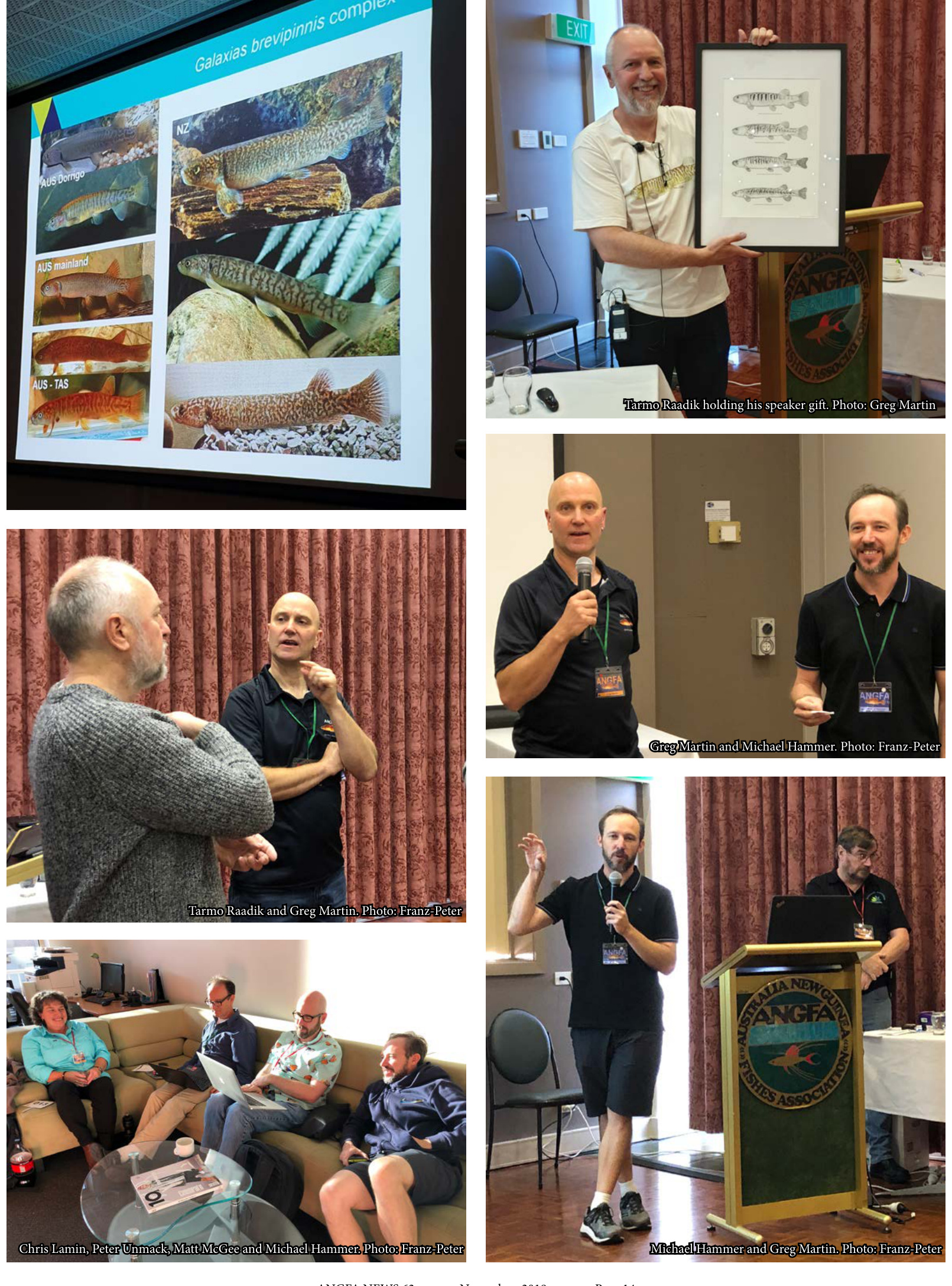 Tarmo Raadik's Galaxias presentation, and Greg Martin with Michael Hammer and Peter Unmack