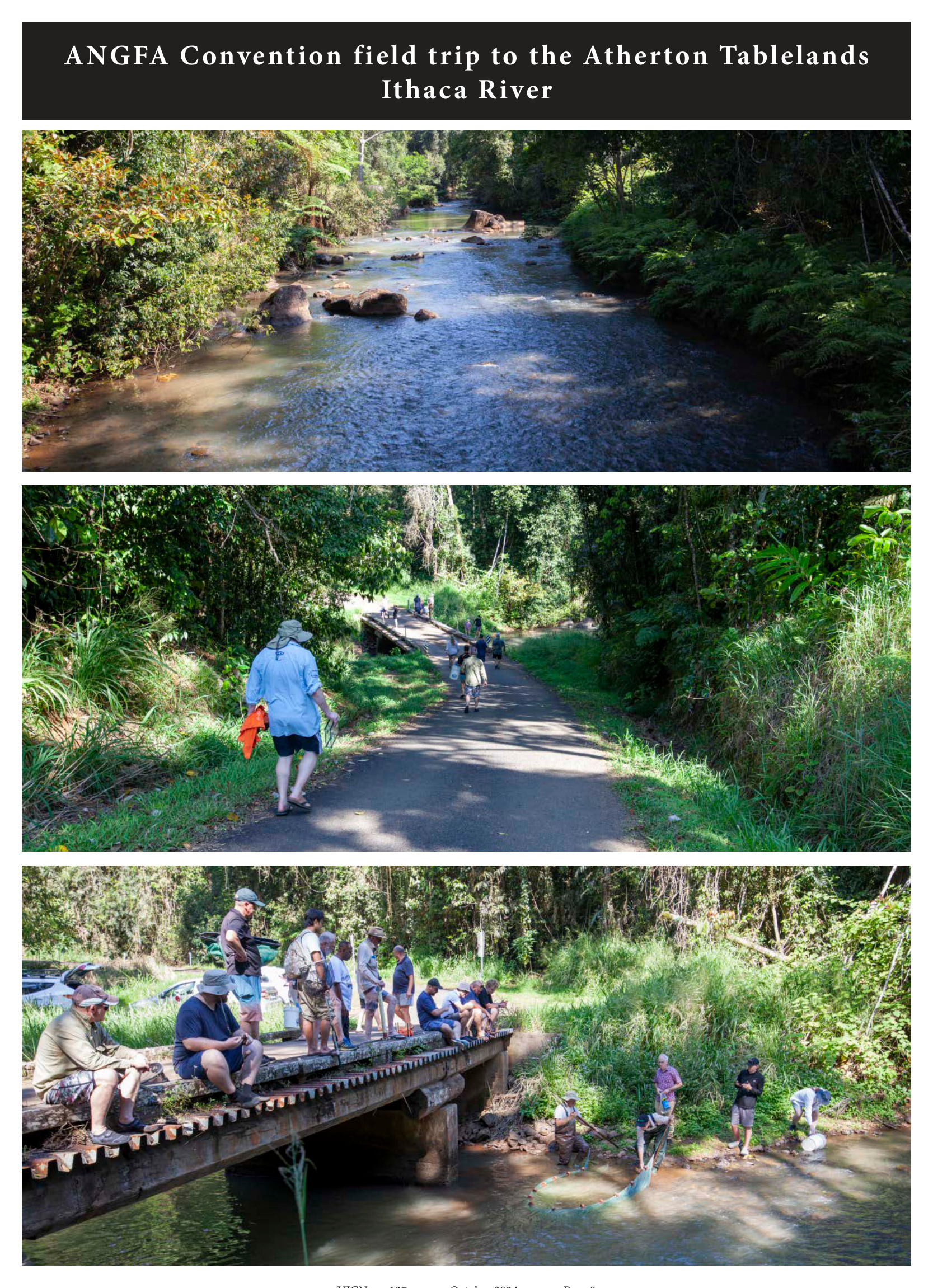 The Ithaca River, delegates walking along a path, and delegates netting fish from a bridge