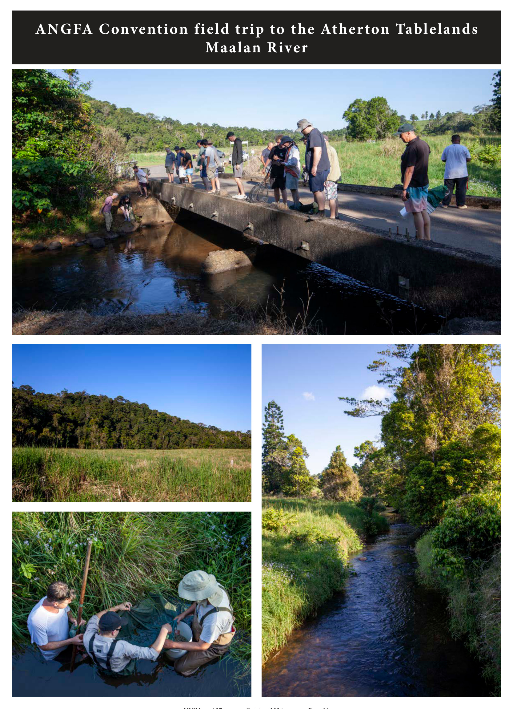Delegates collecting fish from a bridge over the Maalan River, plus scenic and creek views