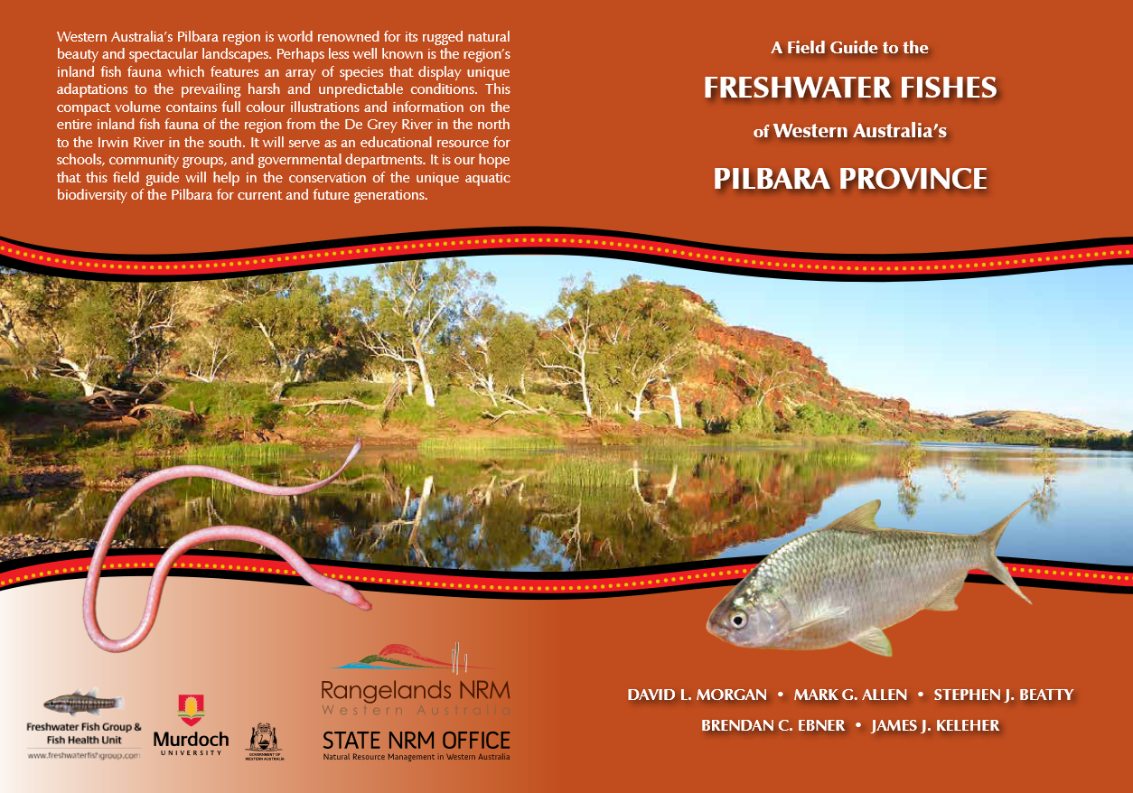 A Field Guide to the Freshwater Fishes of Western Australia's Pilbara Province