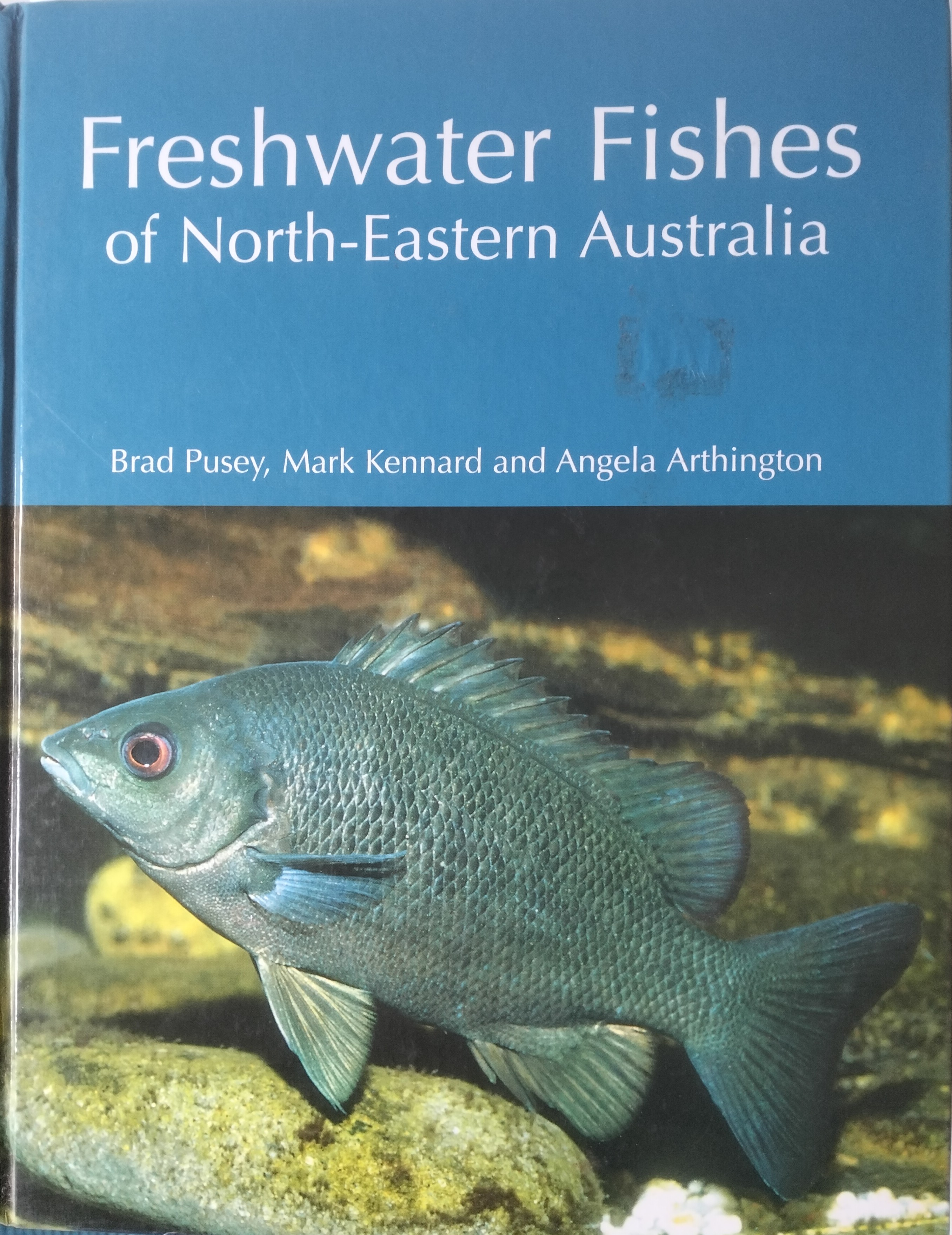 Freshwater Fishes of North-Eastern Australia