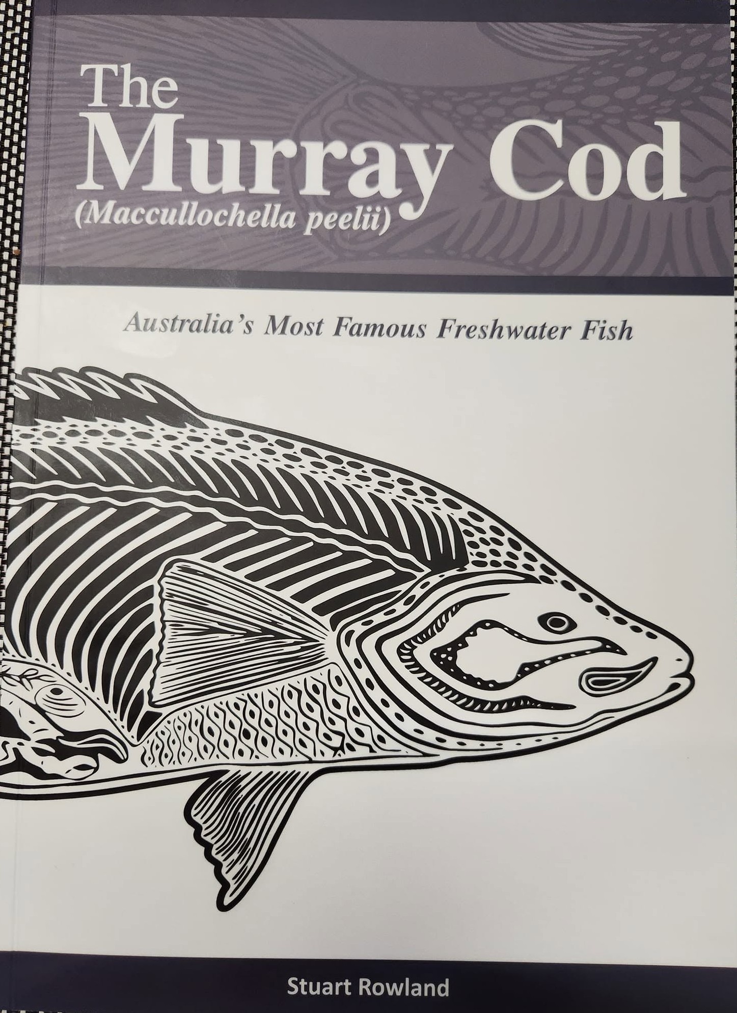 The Murray Cod (<em>Maccullochella peelii</em>)