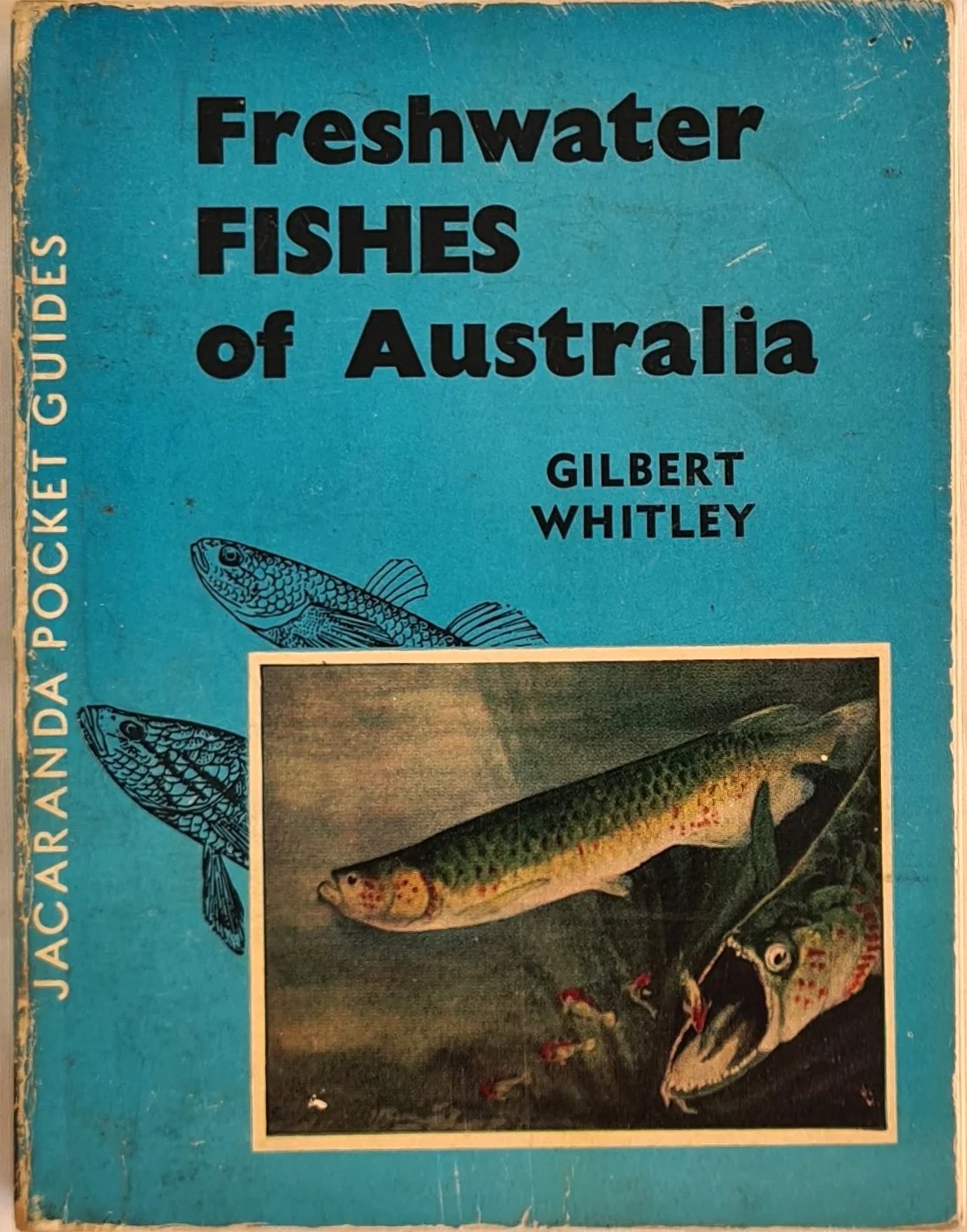 Native Freshwater Fishes of Australia
