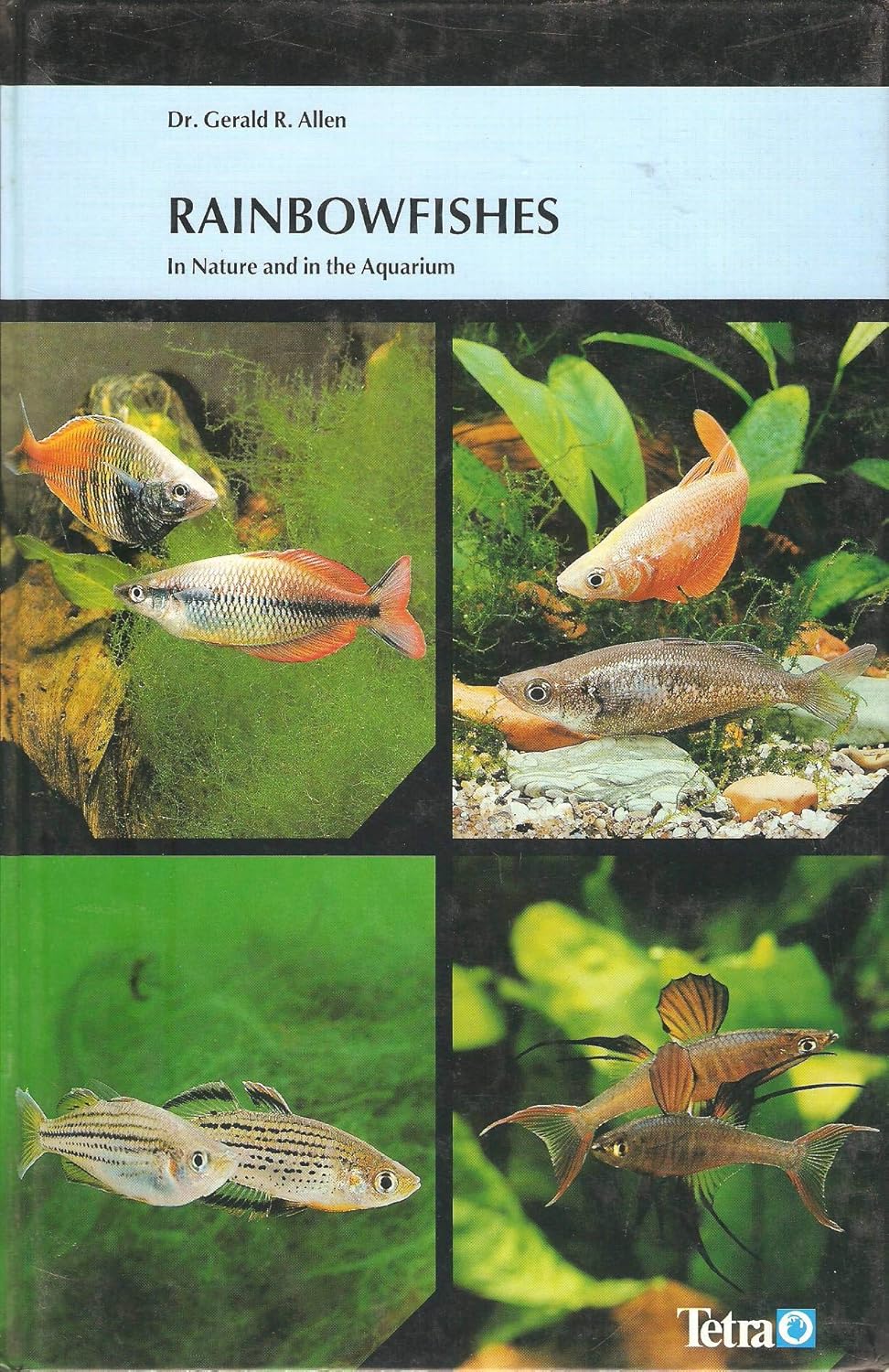 Rainbowfishes: In Nature and in the Aquarium