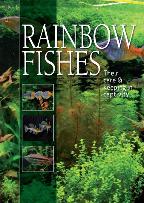 Rainbowfishes: Their Care & Keeping in Captivity