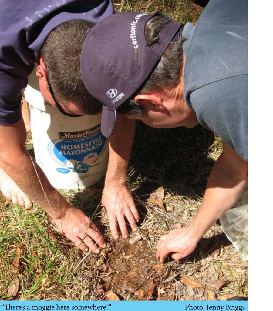 Glenn Briggs and Dean searching for Mogurnda, photographed by Jenny Briggs