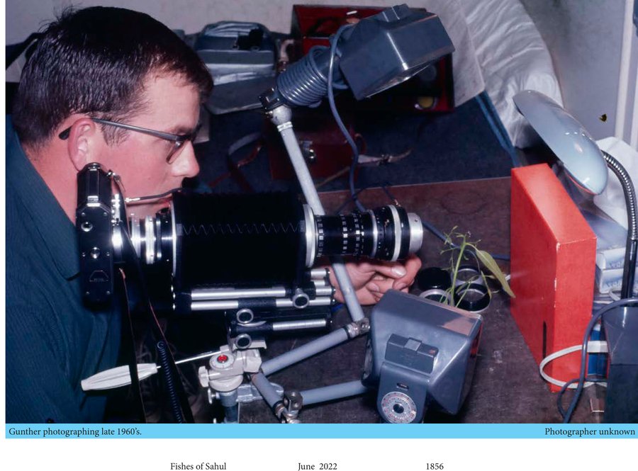 Gunther Schmida photographing tropical fish in an aquarium, late 1960s