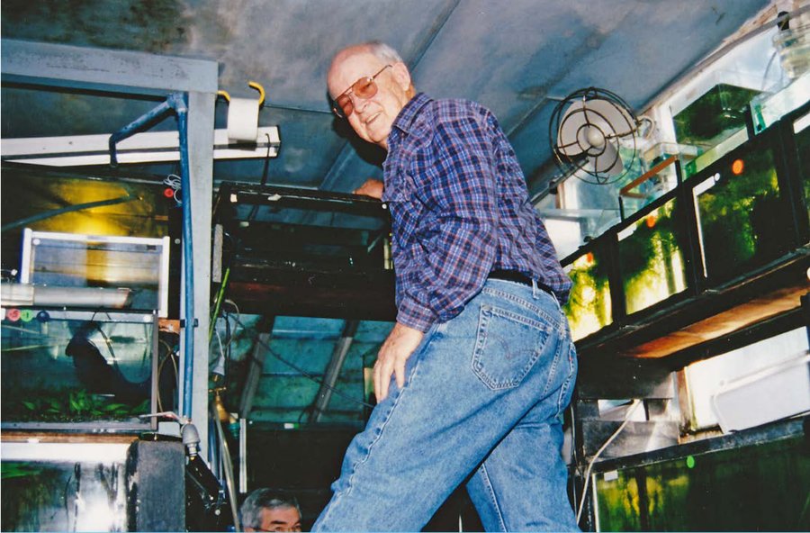 Ron Bowman in his fishroom at Chadstone Road